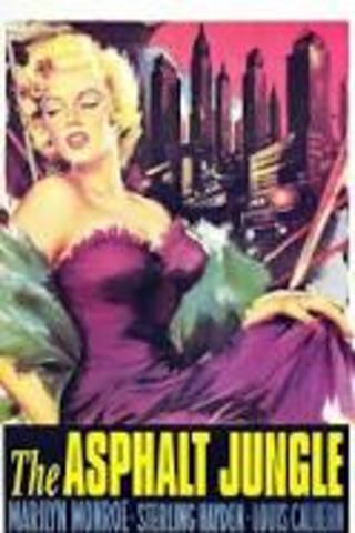 The Asphalt Jungle