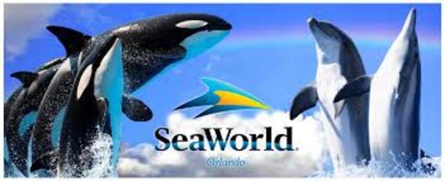 Went To SeaWorld
