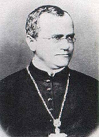 Gregor Mendel is Born