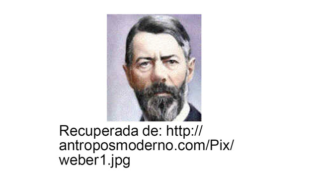 MAX WEBER Y EL ESTRUCTURALISMO