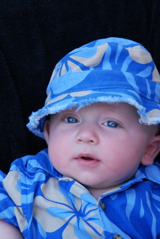 4 months "Blue Eyes"