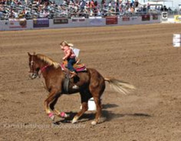 rode a horse in my first rodeo