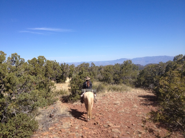 Rode a horse on my own.