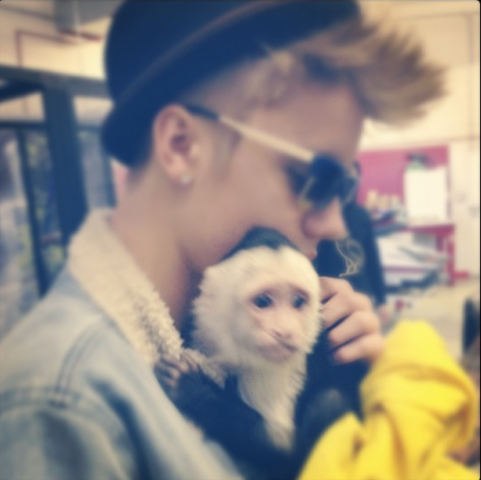 Justins Monkey