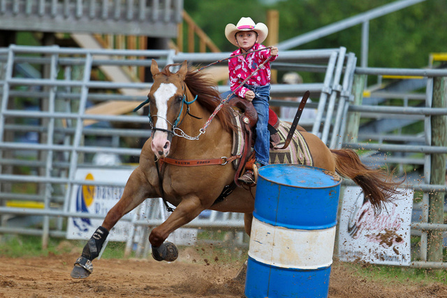 first horse show