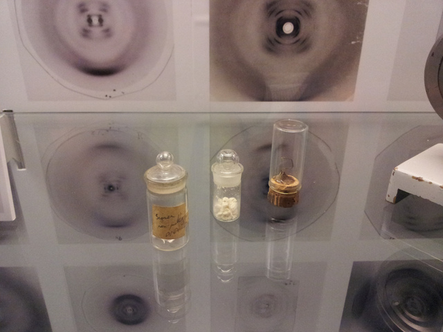 Rosalind Franklin photographs crystallized DNA fibres