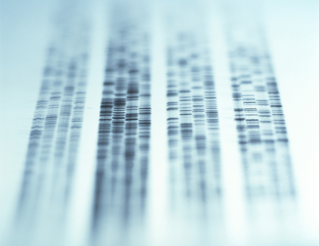 DNA was first used in a court case