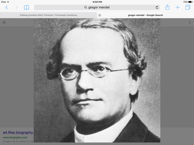 Gregor Mendel