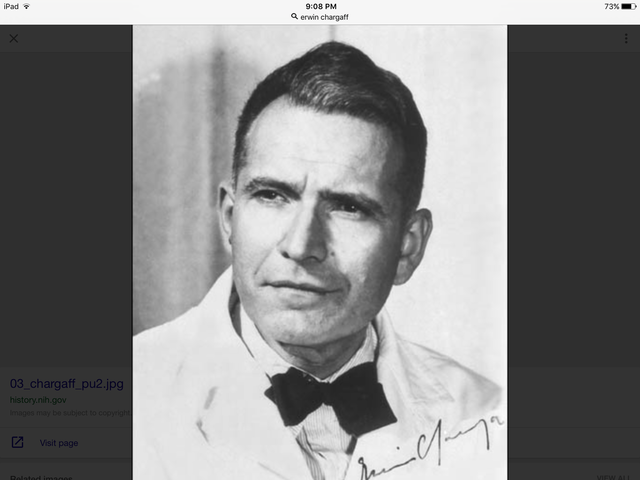 Erwin Chargaff discovers that DNA composition is species specific