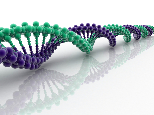 The Human Genome Project is completed