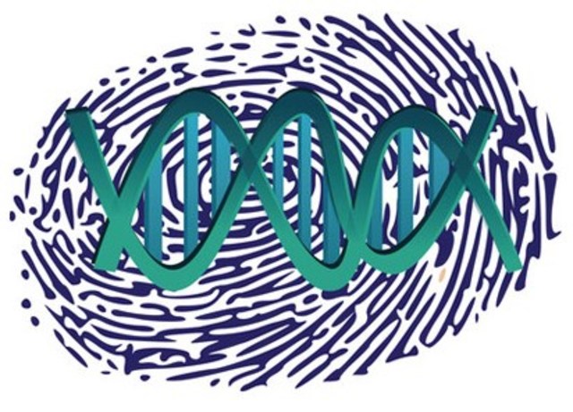 DNA fingerprinting