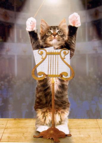 Starting my Educational trial blog