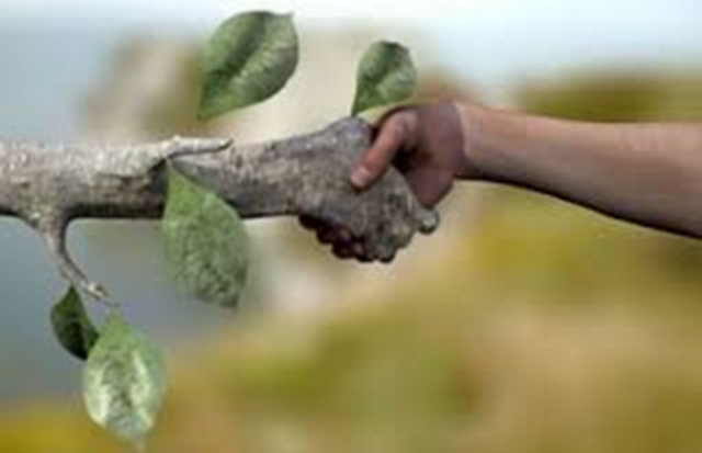 articulo 88 de la constitucion politica de colombia