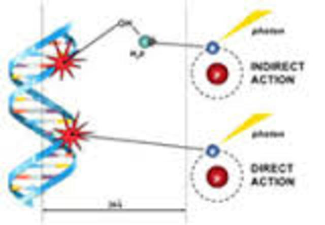 X-rays induce mutations