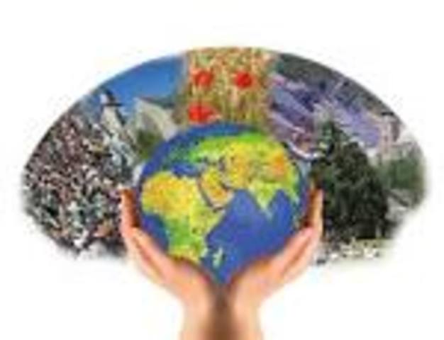 ECOLOGIE : la mondialisation