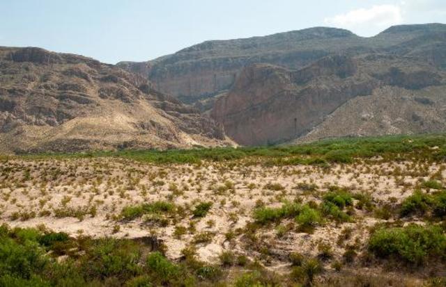 Texas's Old Three Hundred