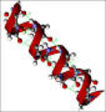 Linus Pauling Alpha Helix