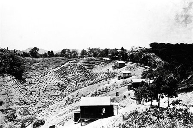 Reforma agriaria de 1941