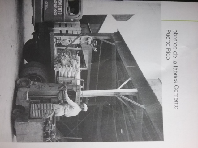 Programa de industrialización