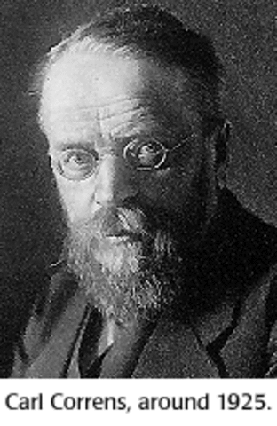 Correns
