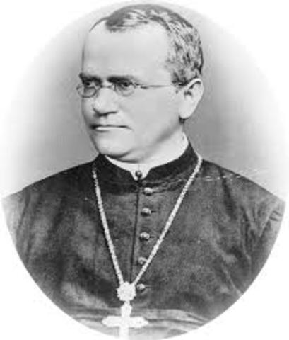 Gregor Mendel