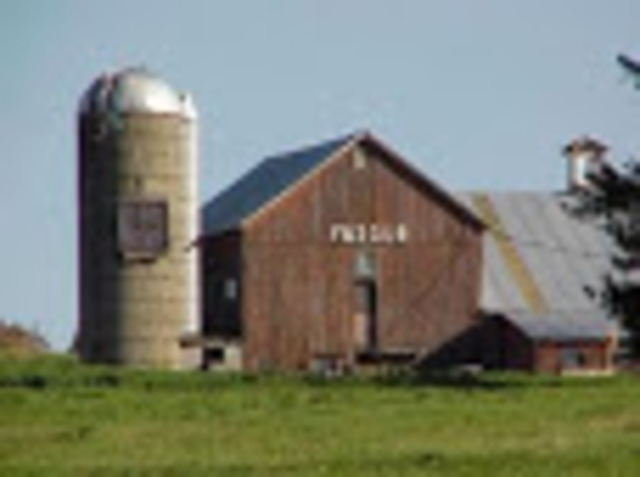 Help From Some Friends