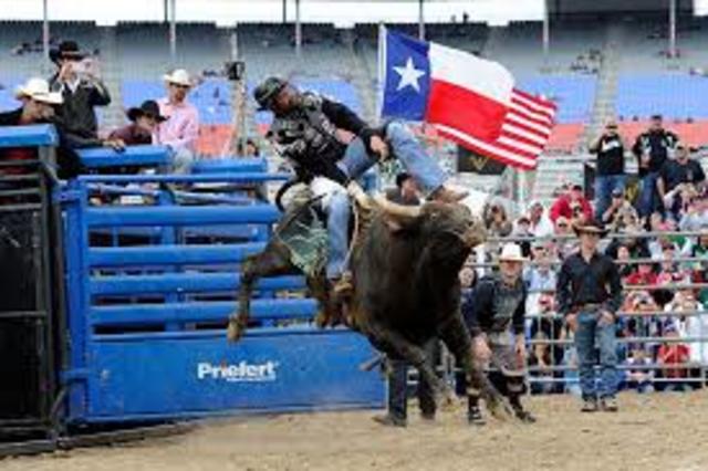 when he started to ride bulls.
