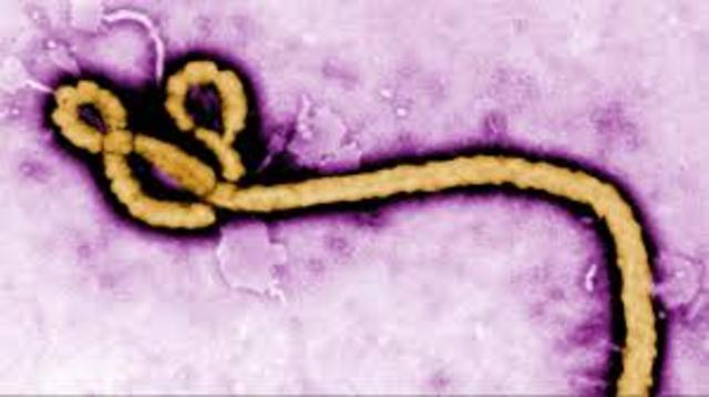 Ebola out break in west Africa