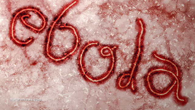 ebola