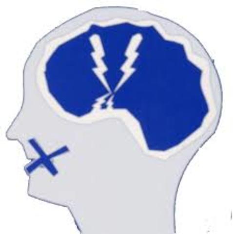 WERNICKE. Se apoya en diarios para descubrir los síndromes afásicos