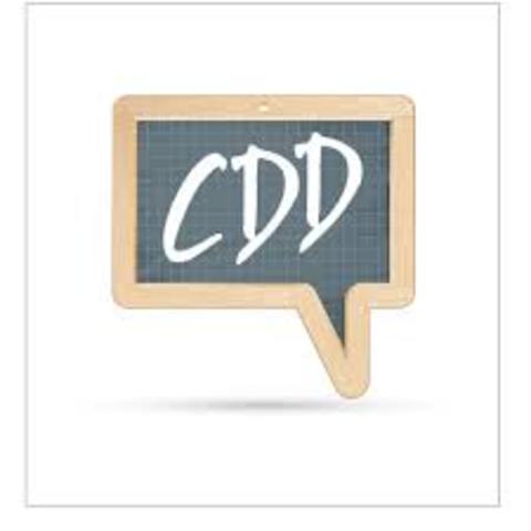 Paso del CDD paso al video y fotografia digital.