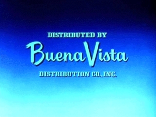 WD - Distribuidora Buena Vista