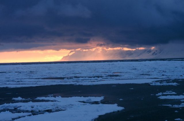 Whaling begins in the Ross Sea