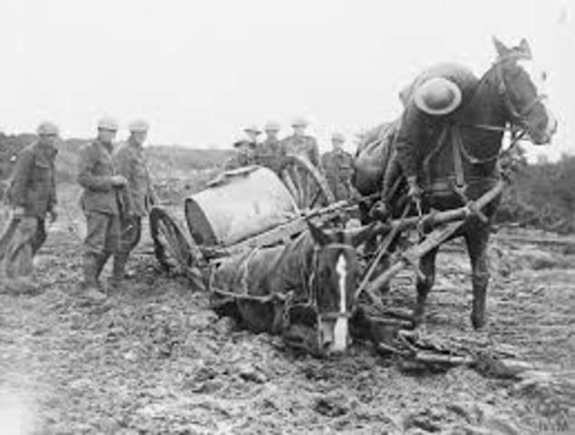 Battle of Passchendaele
