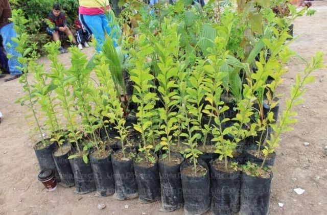 DEDUCCION DEL IMPUESTO A LA RENTA