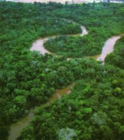 LEY 44 EN EL ARTICULO 20