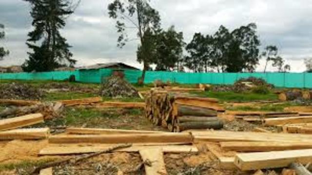 Resolución 868 de 1983