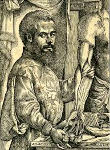 Vesalius