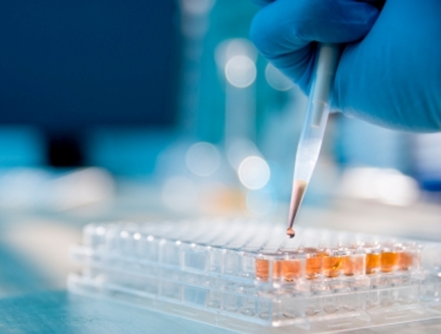 Future – Epigenetics, personalised medicine and greater individual responsibility