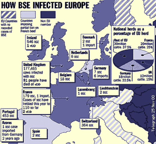 Mad cow disease in the United Kingdom