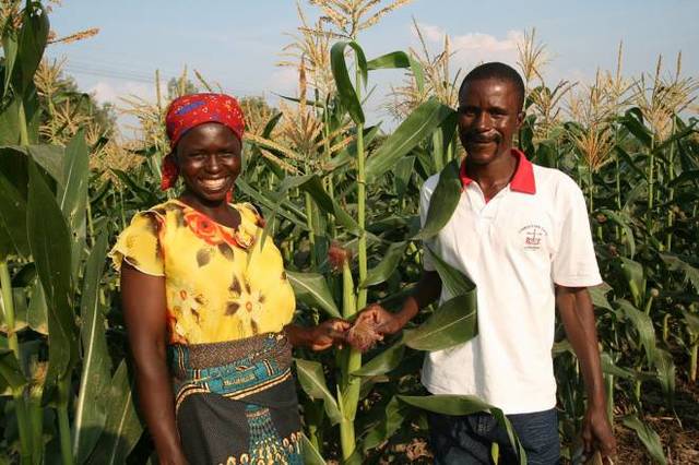 The british stop giving money to Zambabwe