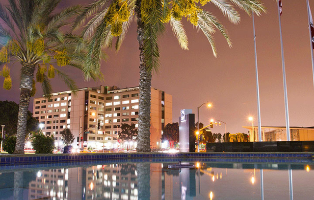 Middle brother finished college