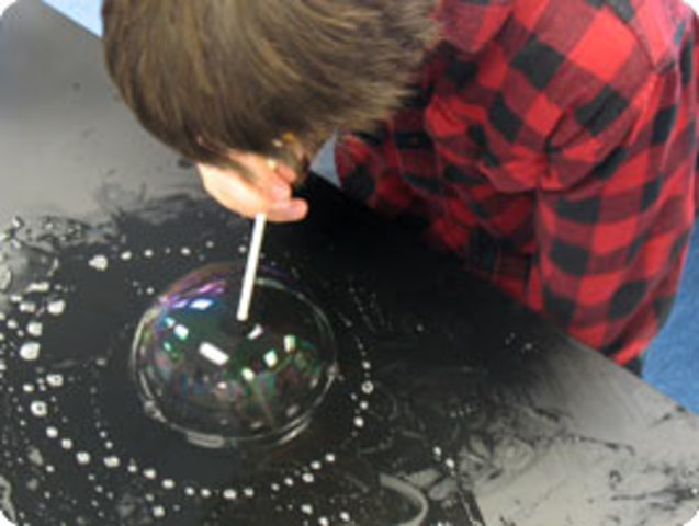 Curriculum Development Projects