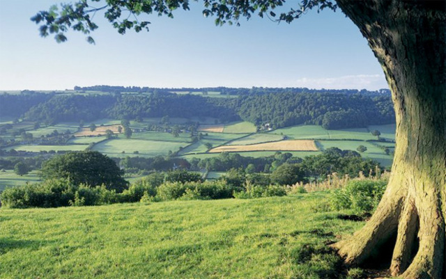 Soil Conservation and Domestic Allotment Act