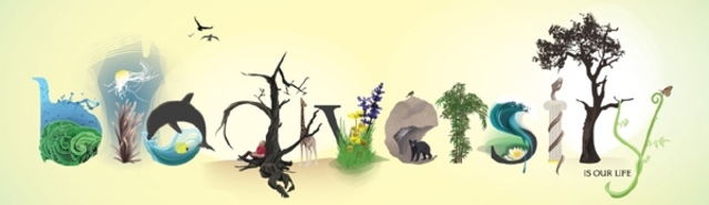 Endangered Species Act