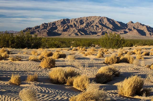 California Desert Conservation Act