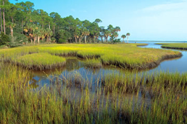 Emergency Wetlands Resources Act