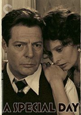 A Special Day