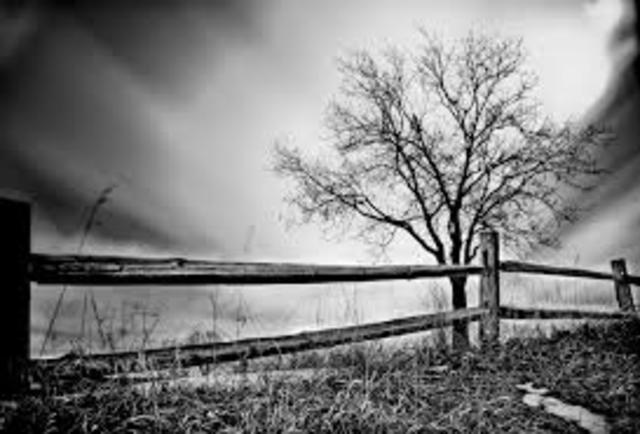 photograph in 30 min