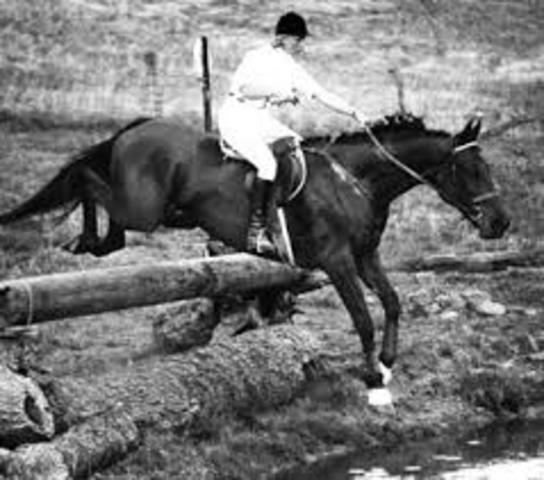 Tesla's brother dies